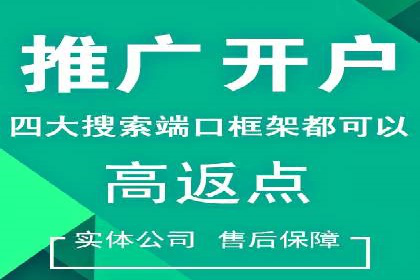 百度推广运营策略案例：品牌提升的捷径
